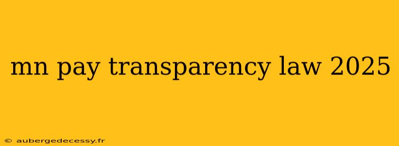 mn pay transparency law 2025