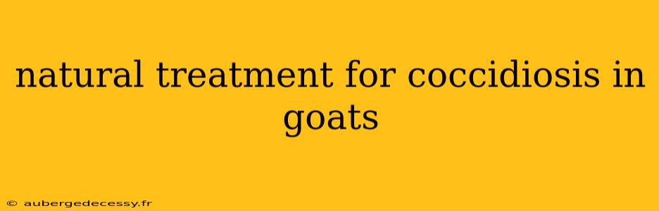 natural treatment for coccidiosis in goats