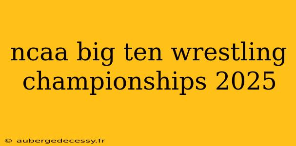 ncaa big ten wrestling championships 2025