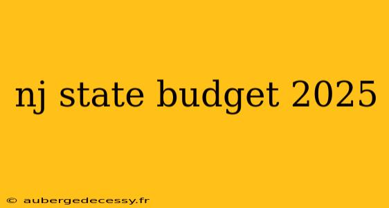 nj state budget 2025