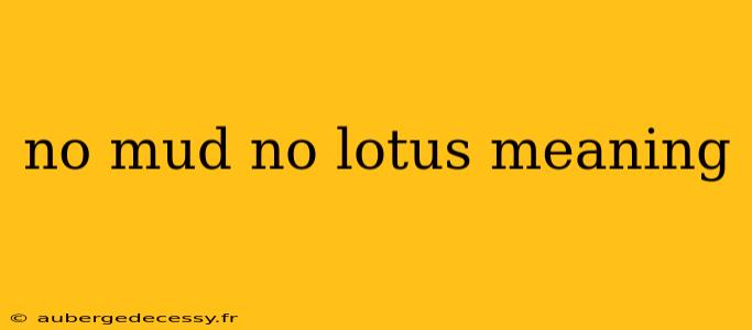 no mud no lotus meaning