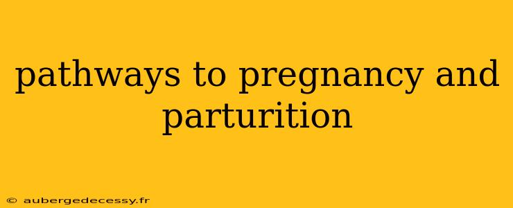 pathways to pregnancy and parturition