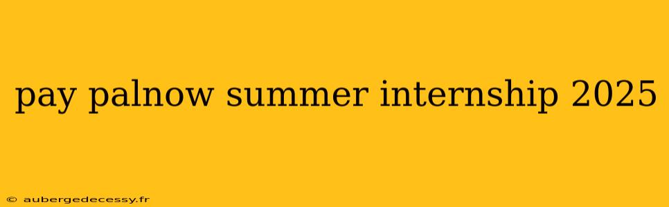 pay palnow summer internship 2025