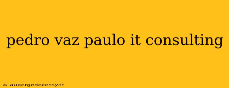 pedro vaz paulo it consulting