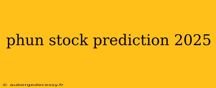 phun stock prediction 2025