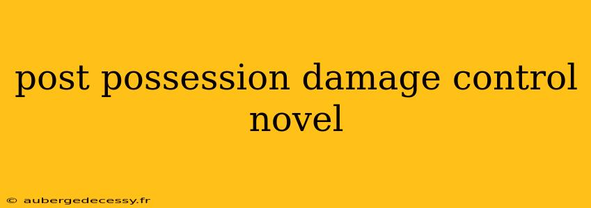 post possession damage control novel