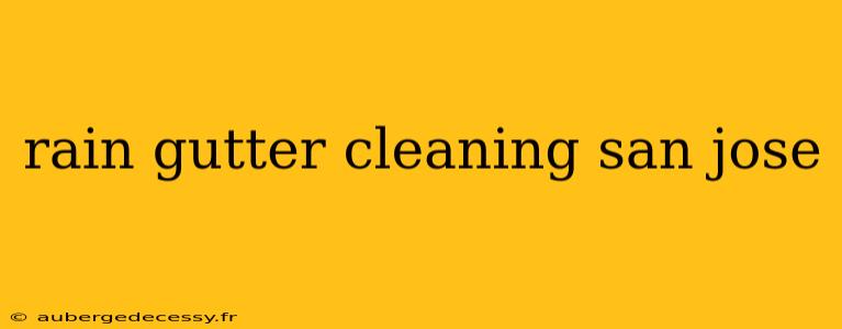 rain gutter cleaning san jose