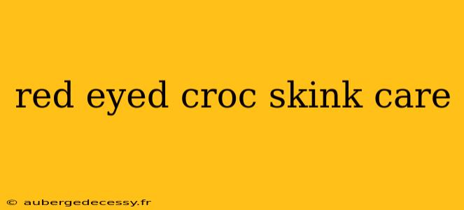 red eyed croc skink care