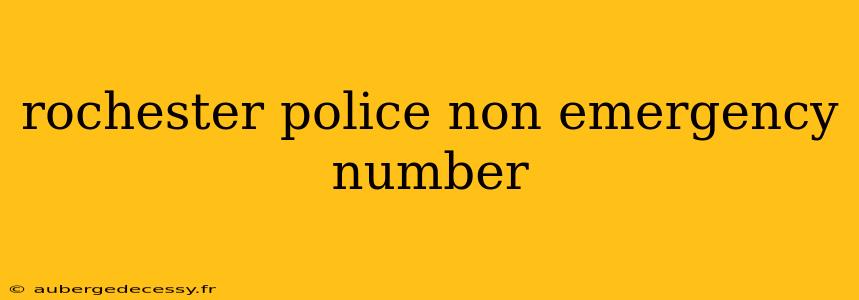 rochester police non emergency number