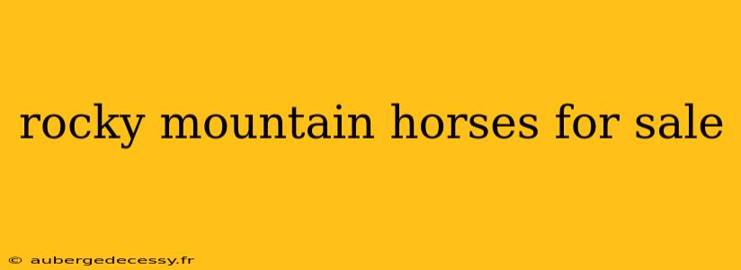 rocky mountain horses for sale