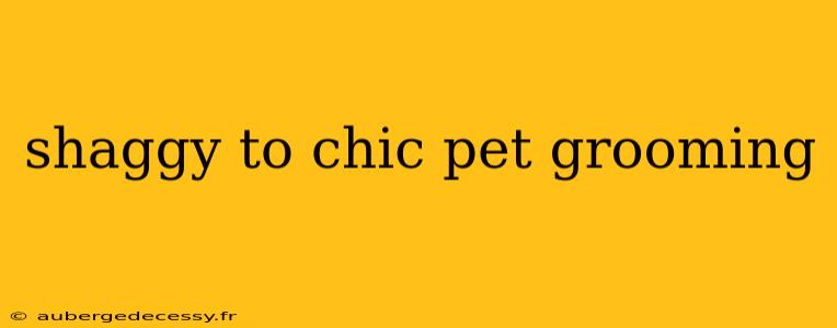 shaggy to chic pet grooming