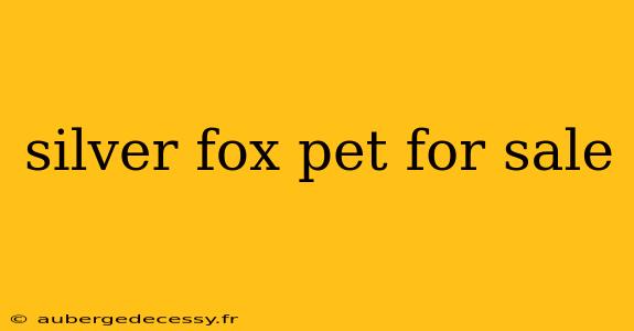 silver fox pet for sale