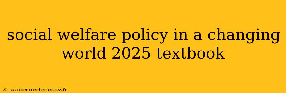 social welfare policy in a changing world 2025 textbook