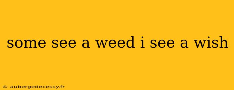 some see a weed i see a wish