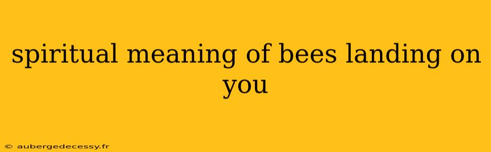 spiritual meaning of bees landing on you