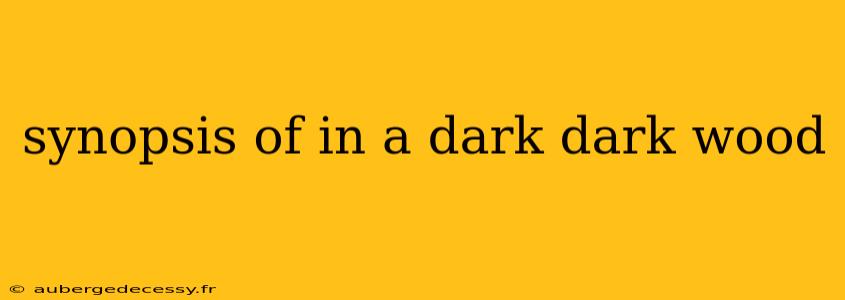 synopsis of in a dark dark wood