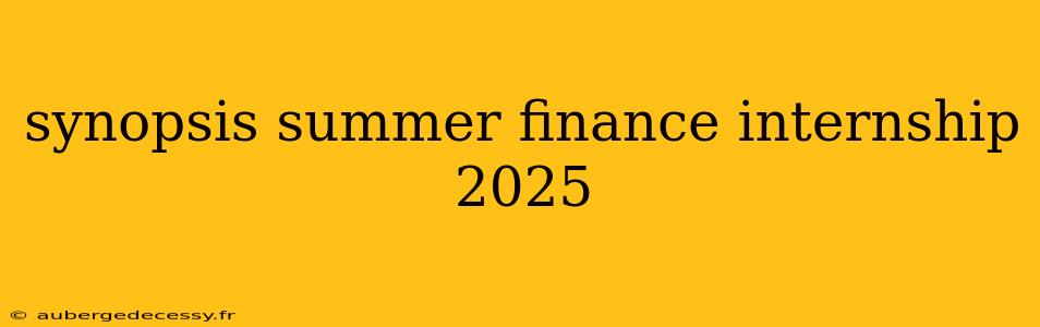 synopsis summer finance internship 2025