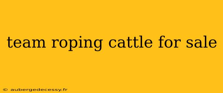 team roping cattle for sale