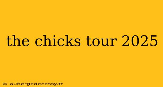 the chicks tour 2025