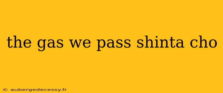 the gas we pass shinta cho