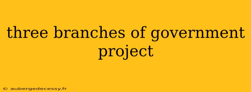 three branches of government project