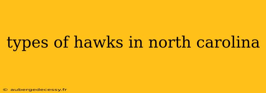 types of hawks in north carolina