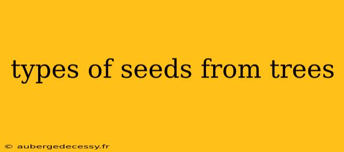 types of seeds from trees