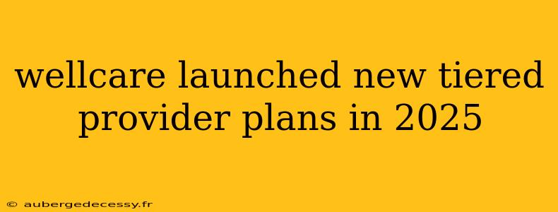 wellcare launched new tiered provider plans in 2025