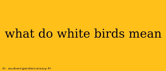 what do white birds mean