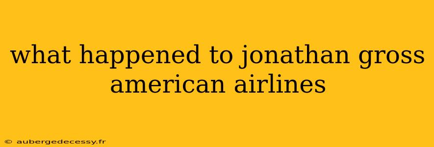 what happened to jonathan gross american airlines