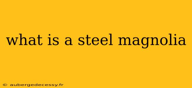 what is a steel magnolia