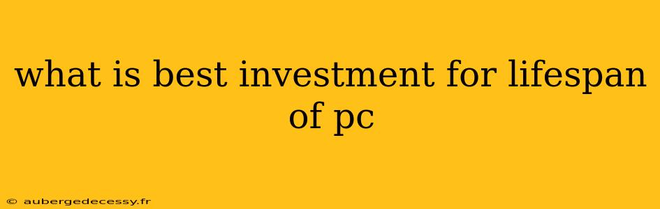 what is best investment for lifespan of pc