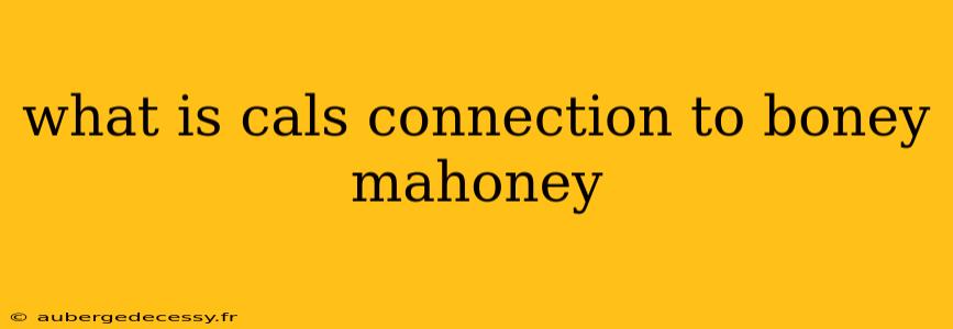 what is cals connection to boney mahoney