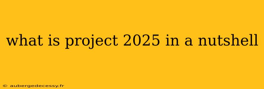 what is project 2025 in a nutshell