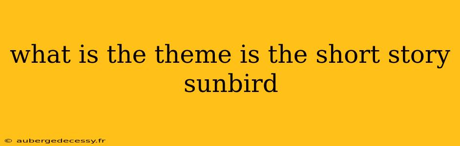 what is the theme is the short story sunbird