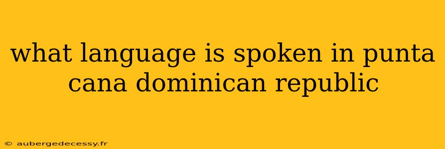 what language is spoken in punta cana dominican republic