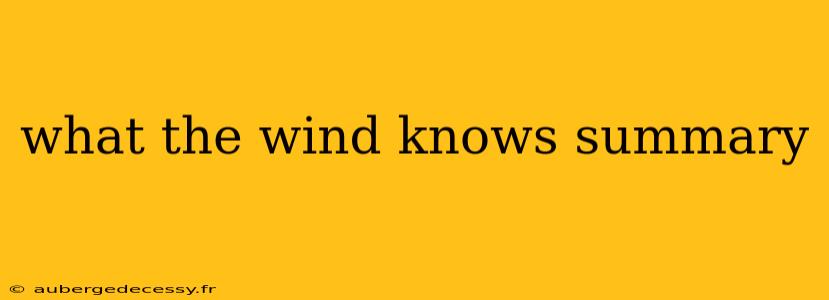 what the wind knows summary