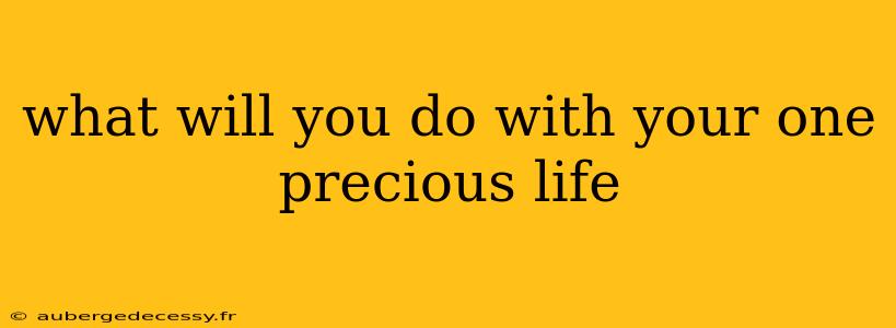 what will you do with your one precious life