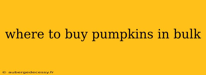 where to buy pumpkins in bulk