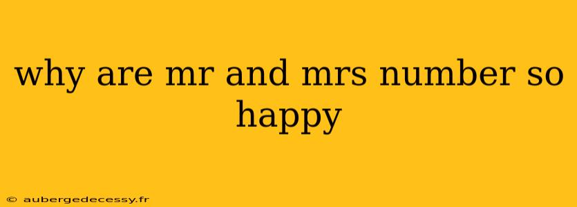 why are mr and mrs number so happy