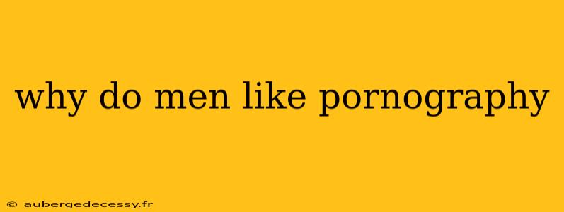 why do men like pornography