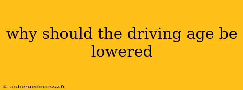 why should the driving age be lowered