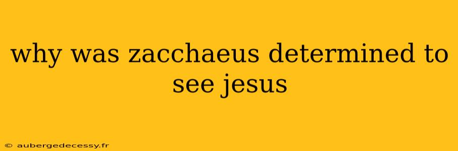 why was zacchaeus determined to see jesus