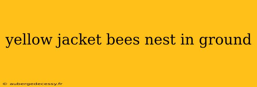 yellow jacket bees nest in ground