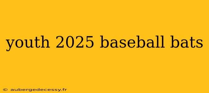 youth 2025 baseball bats