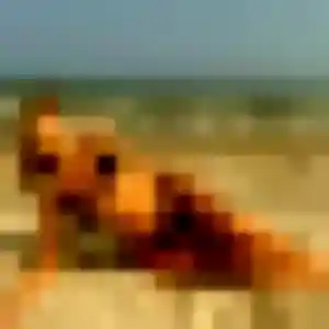 Photo de Roxane à Abreschviller (36 ans) - plan cul anonyme