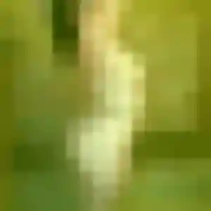 Photo exclusive de Roxane, 35 ans à Abzac - rencontre coquine