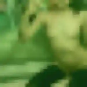 Ehui de Adé, 32 ans - plan cul sans prise de tête