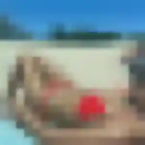 plan cul à Agris : profil de Pauline, 40 ans - inscription gratuite