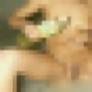 Profil de Eugénie à Aiguefonde (31 ans) - plan cul anonyme